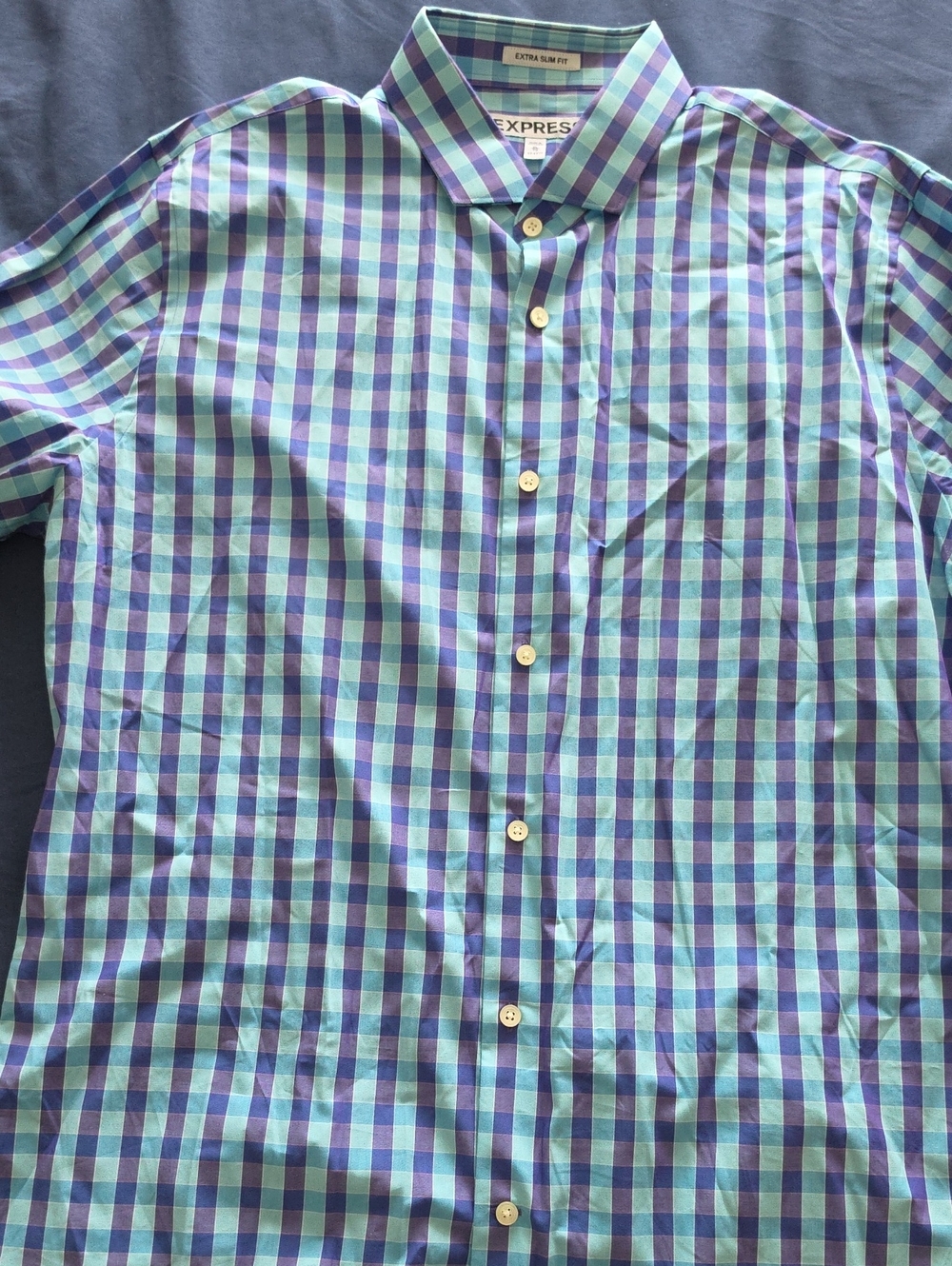 Express Long Sleeve Extra Slim Fit Blue & Green Check Men's Shirt